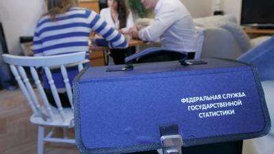 Всероссийскую перепись населения перенесли с апреля на сентябрь - russian.rt.com