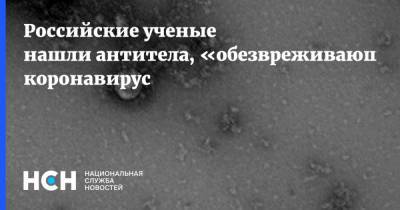 Дональд Трамп - Александр Сергеев - Российские ученые нашли антитела, «обезвреживающие» коронавирус - nsn.fm - Россия - Сша