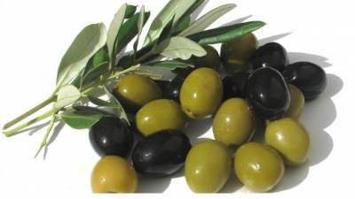 У берегов Хайфы нашли древний оливковый завод - piter.tv - Израиль