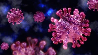 Bloomberg: пандемия коронавируса продлится семь лет - gazeta.ru - Сша - Израиль