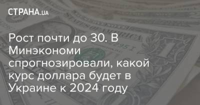 Рост почти до 30. В Минэкономи спрогнозировали, какой курс доллара будет в Украине к 2024 году - strana.ua