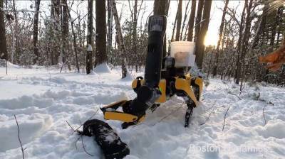 Boston Dynamics представил самозаряжающегося робопса Spot - techno.bigmir.net - Boston