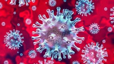 Ученые назвали причину происхождения коронавируса - 5-tv.ru - Сша - Англия - Китай