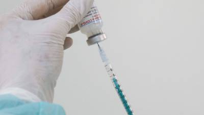 Владислава Грин - Сербия одобрила использование вакцины "Спутник V" - nation-news.ru - Сербия