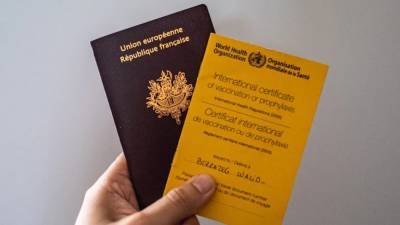 Власти разрабатывают цифровые «паспорта вакцинированного» - rbnews.uk