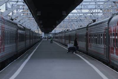 Роспотребнадзор заявил о необходимости справки для въезжающих в РФ на поезде - abnews.ru - Россия