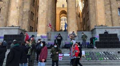 Предприниматели Грузии вышли на протест с требованием смягчить карантин и оживить экономику - goodnews.ua - Грузия - Тбилиси