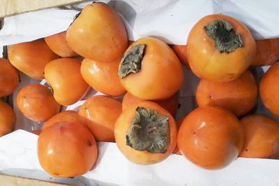 Саратовцы пытаются защититься от коронавируса при помощи фруктов - saratov.mk.ru - Саратов