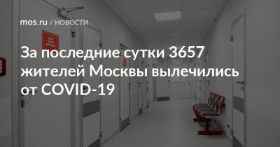 За последние сутки 3657 жителей Москвы вылечились от COVID-19 - mos.ru - Москва