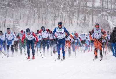 Морозно и снежно: как в Ленобласти проходит Токсовский лыжный марафон - online47.ru - Россия - Ленобласть обл.