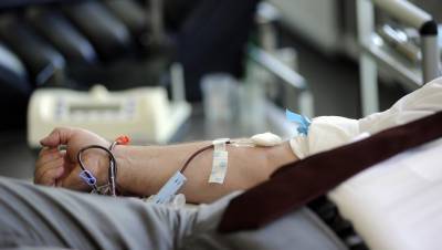 Жители Петербурга в донорскую субботу сдали 175 литров крови - dp.ru - Петербурга