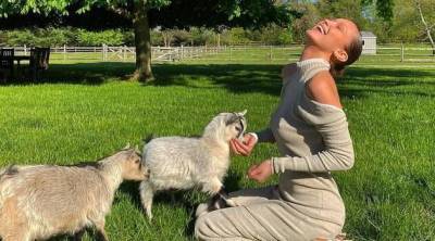 Фермер предлагает людям пообщаться с козами в Zoom. На этом она заработала уже $68 тысяч - skuke.net - Англия