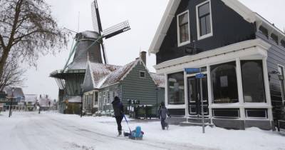 Непогода в Европе: Германию и Нидерланды завалило снегом, сковало морозом, а транспорт парализовало - tsn.ua - Германия - Амстердам