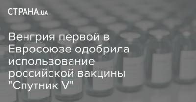 Венгрия первой в Евросоюзе одобрила использование российской вакцины "Спутник V" - strana.ua - Евросоюз - Венгрия