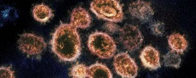 Лариса Попович - Ученые рассказали о «конфликте» вирусов гриппа и COVID-19 - runews24.ru - Россия