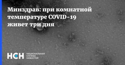 Минздрав: при комнатной температуре COVID-19 живет три дня - nsn.fm - Россия