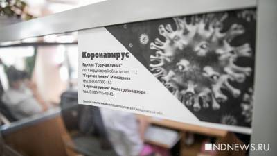 В Свердловской области выявили 301 случай коронавируса, 12 пациентов умерли - newdaynews.ru - Свердловская обл. - Екатеринбург