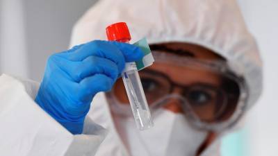 В Петербурге тест на коронавирус за сутки сдали более 12 тысяч человек - russian.rt.com - Санкт-Петербург