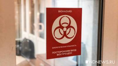 Лечение гелием ковидных пациентов так и осталось экспериментальным - newdaynews.ru - Сыктывкар