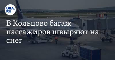 В Кольцово багаж пассажиров швыряют на снег. Видео - ura.news - Челябинск - Екатеринбург