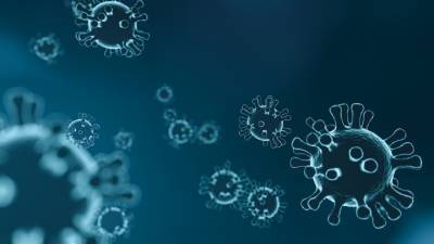 Искусственный интеллект разработал растительное средство от коронавируса - vesti.ru - Франция