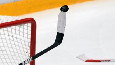 Луис Блюз - НХЛ перенесла матчи трех команд из-за коронавируса - gazeta.ru - Вашингтон - штат Нью-Джерси - Бостон - штат Миннесота