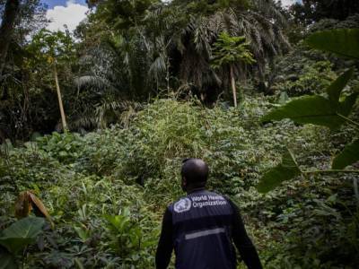 В Африке снова зафиксировали смерть от Эболы - unn.com.ua - Киев - Конго