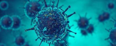 Британский штамм коронавируса мог дойти до США в ноябре 2020 года - runews24.ru - Сша - Англия