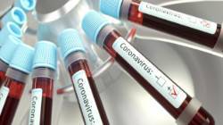 В Орловской области проведено более 450 тысяч тестов на коронавирус - vechor.ru - Украина - Орловская обл.