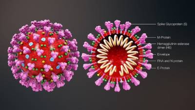 Джордж Мейсон Анч - Определена убивающая коронавирус погода - nation-news.ru - Париж - Нью-Йорк - Буэнос-Айрес