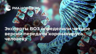 Питер Бен Эмбарек - Эксперты ВОЗ определили четыре версии передачи коронавируса человеку - ria.ru - Москва - Китай