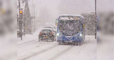 Снежная буря в Европе: Нидерланды замело впервые за 10 лет, в Германии застряли поезда - fakty.ua - Украина