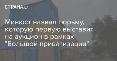 Елена Высоцкая - Минюст назвал тюрьму, которую первую выставит на аукцион в рамках "Большой приватизации" - strana.ua