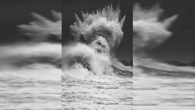 Россия - Оптическая иллюзия: штормовая волна или бог Посейдон? - ru.euronews.com - Франция - Германия - Швеция