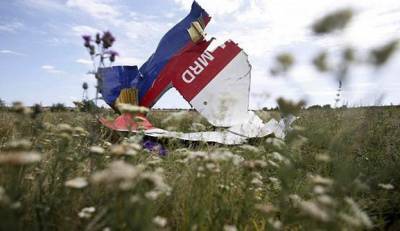 МН17: У Украины не было оснований закрывать воздушное пространство - ukrinform.ru