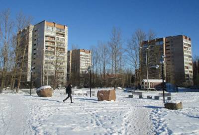 В Сосновом Бору одиноким жителям помогут с уборкой снега и доставкой продуктов - online47.ru