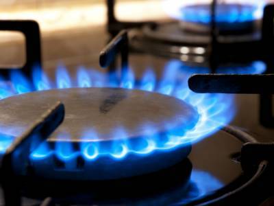 Газсбыты снизили цену на газ для населения за январь - gordonua.com - Украина