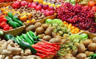 Узбекистан намерен в ближайшие годы вывести на китайский рынок ряд новых видов плодоовощной продукции - podrobno.uz - Китай - Узбекистан - Ташкент