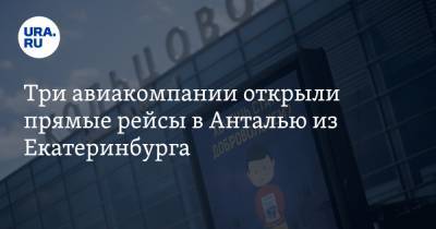 Три авиакомпании открыли прямые рейсы в Анталью из Екатеринбурга - ura.news - Россия - Турция - Екатеринбург