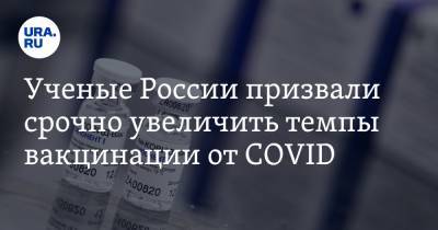 Ученые России призвали срочно увеличить темпы вакцинации от COVID. «Последствия будут печальными» - ura.news - Россия - Англия