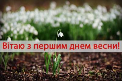 С первым днем весны: красивые поздравления и яркие открытки - narodna-pravda.ua - Украина