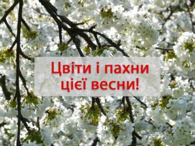 С первым днем весны: лучшие поздравления и открытки - narodna-pravda.ua - Украина