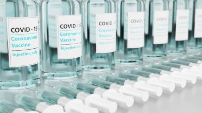 Названа дата поступления российской вакцины "КовиВак" от COVID-19 в гражданский оборот - nation-news.ru