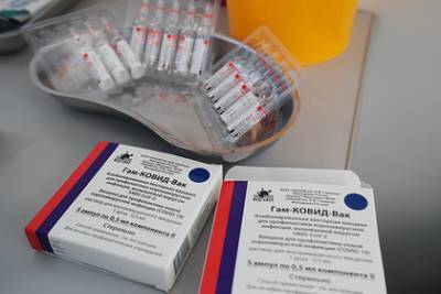 Игорь Матович - Словакия приняла партию вакцины «Спутник V» без одобрения в ЕС - lenta.ru - Евросоюз - Словакия