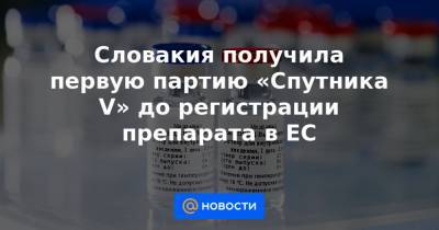 Словакия получила первую партию «Спутника V» до регистрации препарата в ЕС - news.mail.ru - Россия - Словакия