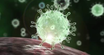 В Германии обнаружен новый штамм коронавируса - dsnews.ua - Англия - Италия - Германия - Канада - Норвегия - Дания - Берлин - Нигерия