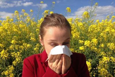 Концентрация пыльцы в воздухе повышает риск инфицирования коронавирусом - mknews.de