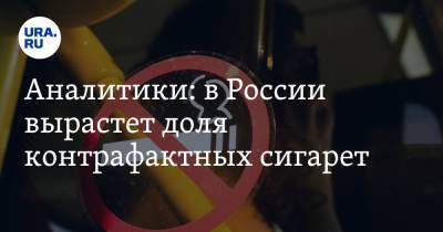 Аналитики: в России вырастет доля контрафактных сигарет - ura.news - Россия