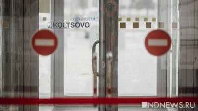 Оператор Кольцово, кидавший багаж пассажиров на землю, уволился во время прокурорской проверки - newdaynews.ru