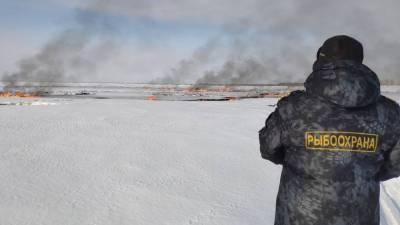 Власти Югры заявили, что гибель рыбы на Оби на связана с пожаром на газопроводе «СИБУРа» - newdaynews.ru - Сургут - округ Югра